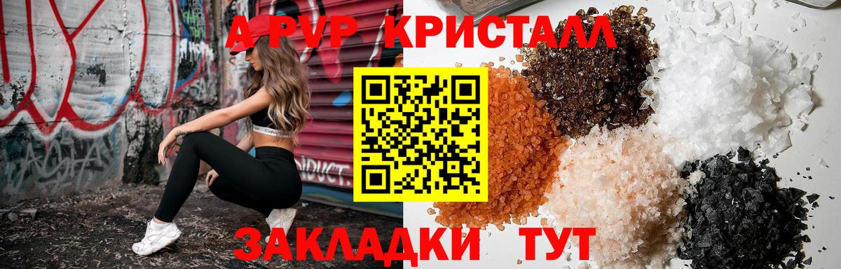 A PVP СК КРИС Воркута
