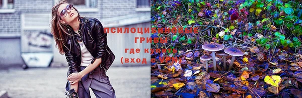 дурь Беломорск