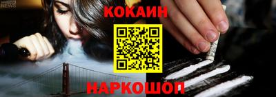 гидра Гатчина