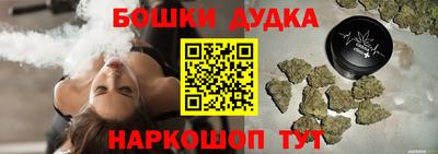 гидра Гатчина