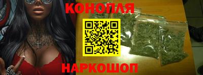 сатива Аргун