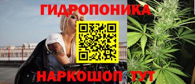 сатива Аргун