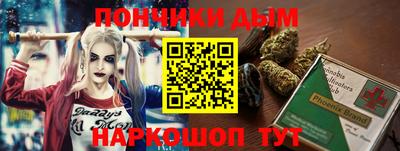 гидра Гатчина