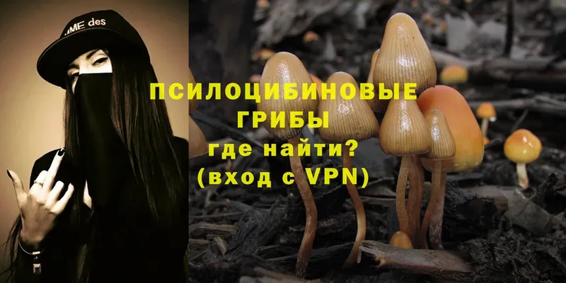 ОМГ ОМГ ССЫЛКА  даркнет сайт  Воркута  Галлюциногенные грибы MAGIC MUSHROOMS 