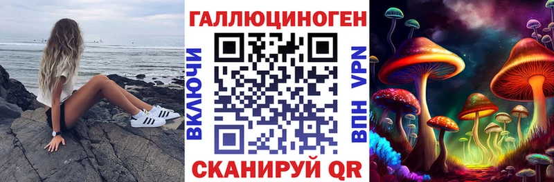 Псилоцибиновые грибы Psilocybe Воркута