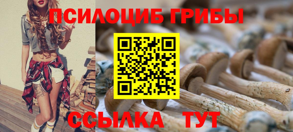 Воркута  Псилоцибиновые грибы Psilocybe  Вход с VPN 