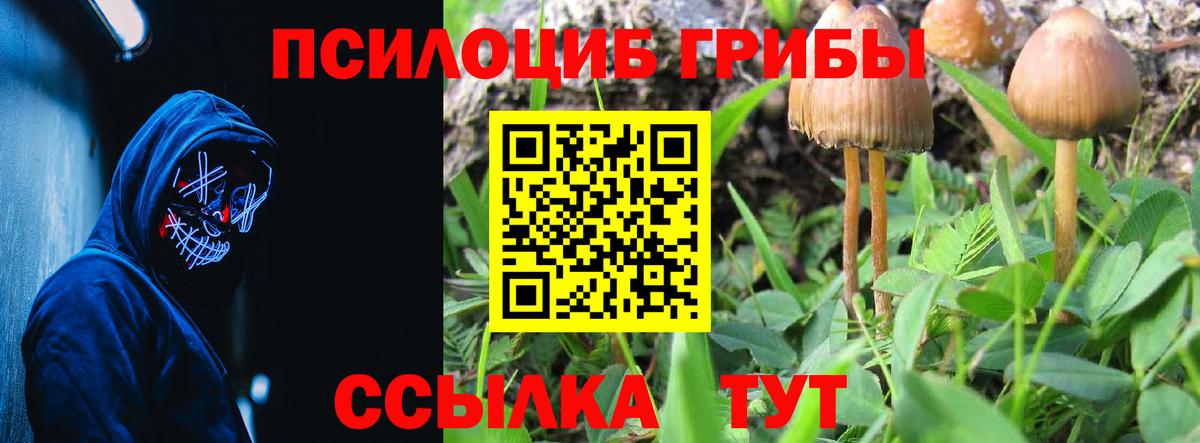 Псилоцибиновые грибы ЛСД  Воркута 